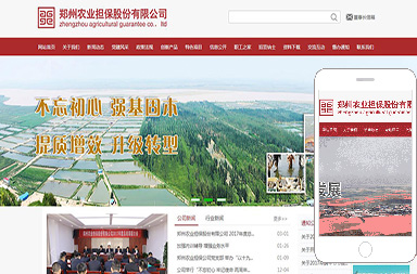 鄭州農(nóng)業(yè)擔(dān)保股份有限公司