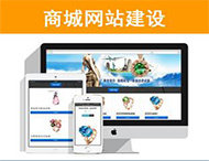 商城網(wǎng)站建設(shè)有哪些功能？