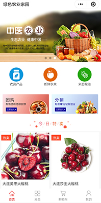 團購分銷商城小程序開發